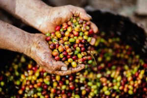 Read more about the article The charm of our Colombiancoffee.